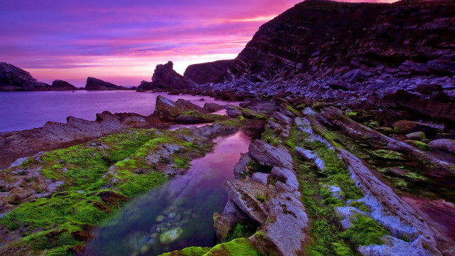 Rocky beach mossy rocks purple free wallpaper - medium preview image