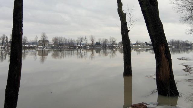 Flooded area trees houses cloudy free wallpaper - medium preview image