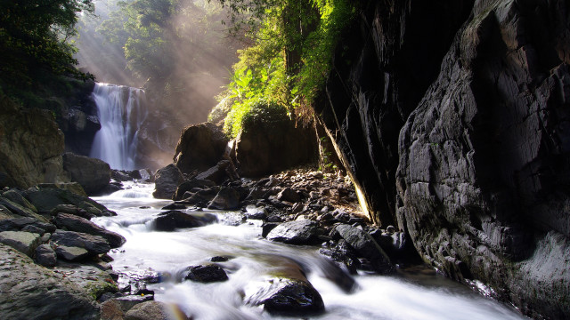 Lush green forest stream waterfall free wallpaper - medium preview image