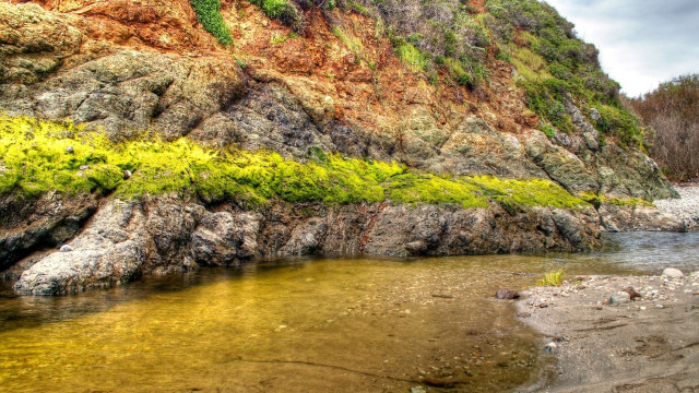 Rocky cliff river grassy trees free wallpaper - medium preview image