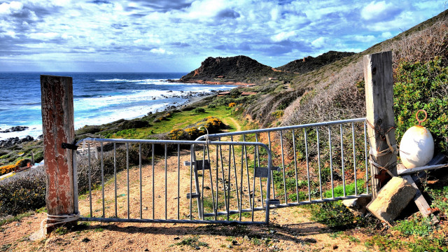 Gated ocean beach bird blunt free wallpaper - medium preview image