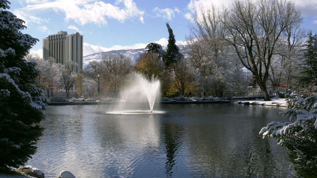 Cherryl fountain snow trees building free wallpaper - medium preview image