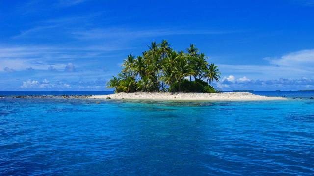 Small island palm trees ocean #10 free wallpaper - medium preview image