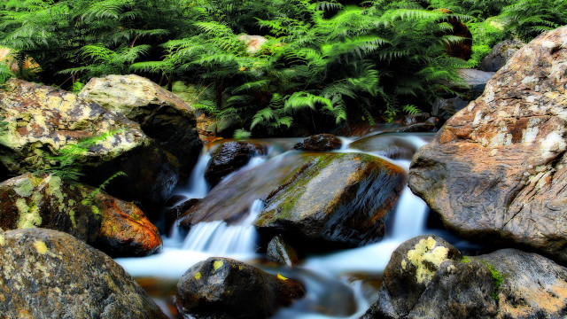 Forest stream waterfall moss rocks free wallpaper - medium preview image
