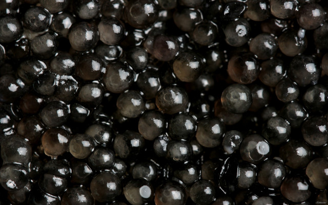 Black beads closeup tabletop background free wallpaper - medium preview image