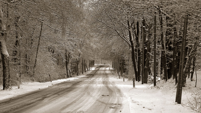 Snowy road trees winter blackandwhite free wallpaper - medium preview image