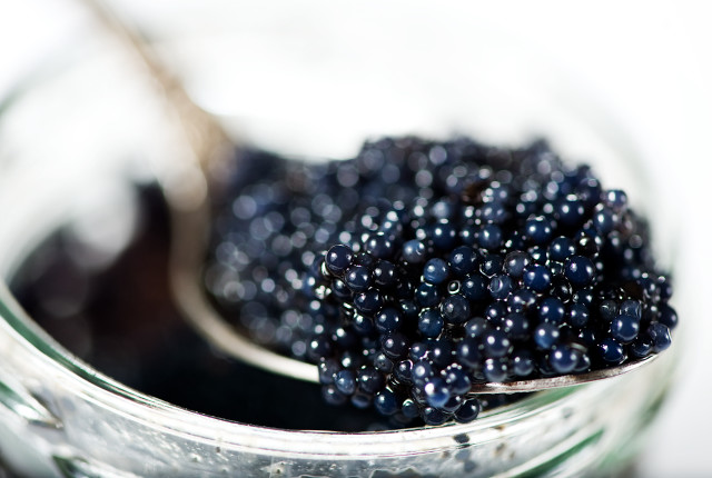 Spoon full blackberries jar table free wallpaper - medium preview image