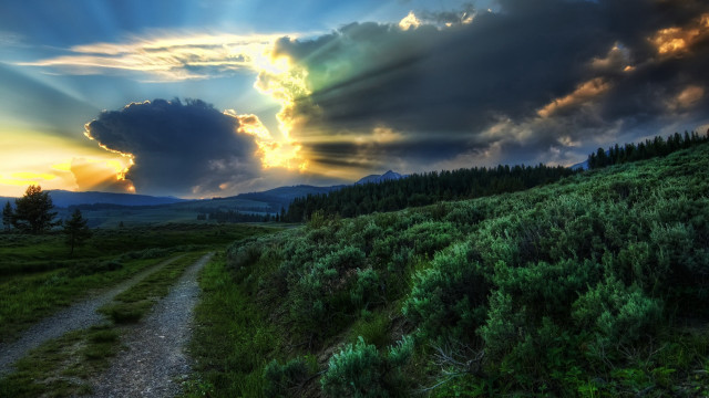 Dirt road green field sunrays free wallpaper - medium preview image