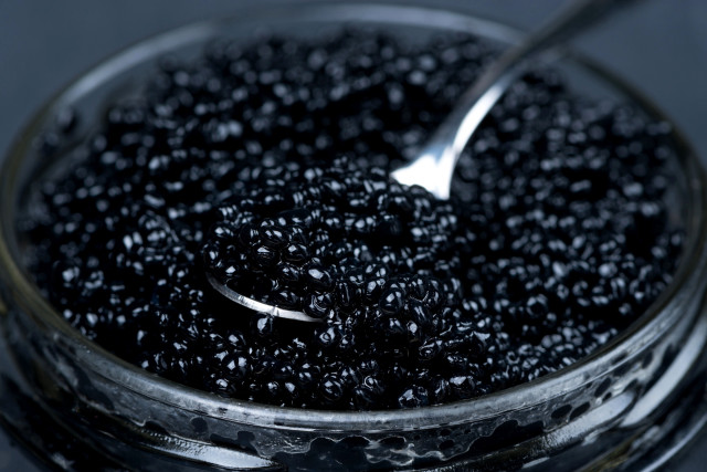 Spoon bowl black caviar tabletop free wallpaper - medium preview image