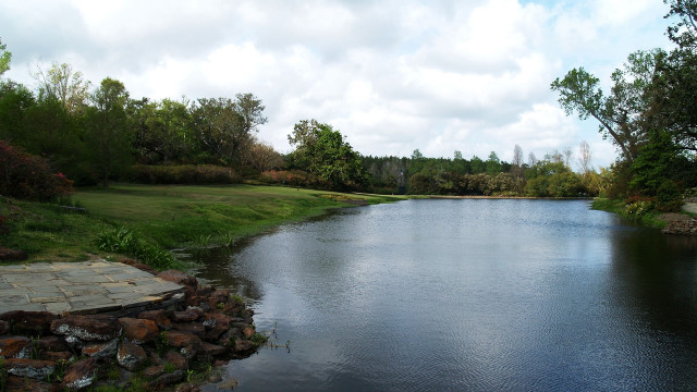 Lake forest bush park mountain free wallpaper - medium preview image