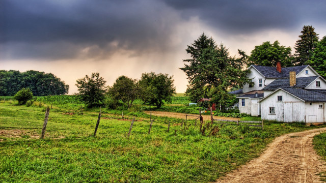 White house green field dirt free wallpaper - medium preview image