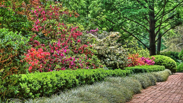 Brick path bushes flowers park free wallpaper - medium preview image