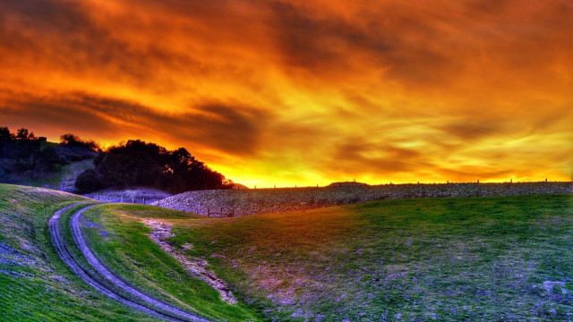 Grassy field dirt road sunset free wallpaper - medium preview image