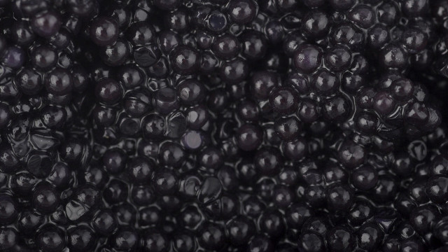 Blackberries water macro aesthetic monochrome free wallpaper - medium preview image