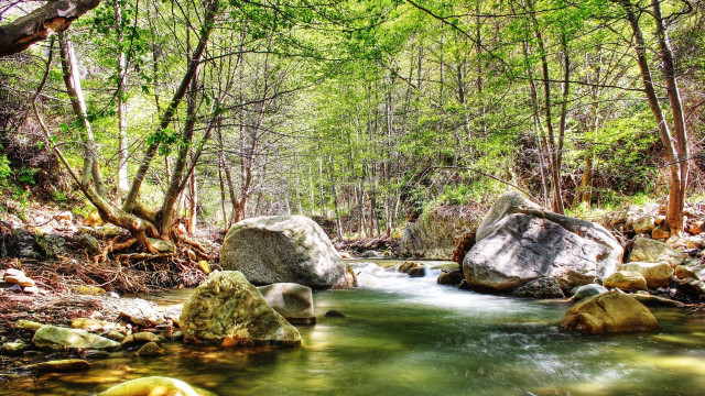 Forest stream rocks autumn environmental free wallpaper - medium preview image