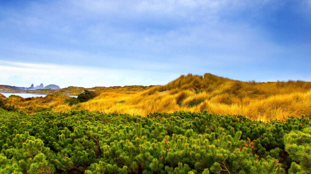 Autumn mountains lake forest grass free wallpaper - medium preview image