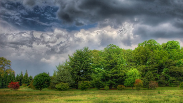 Cloudy sky field trees horizon #2 free wallpaper - medium preview image