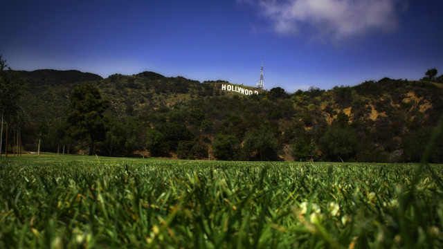 Hollywood mountain field blurry nature free wallpaper - medium preview image