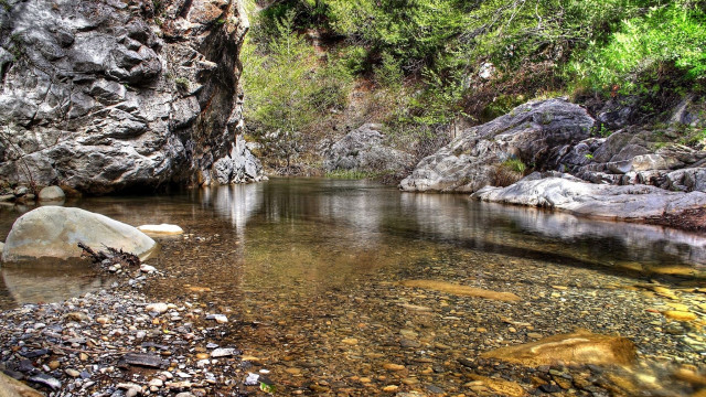 River forest rocks trees cliff free wallpaper - medium preview image