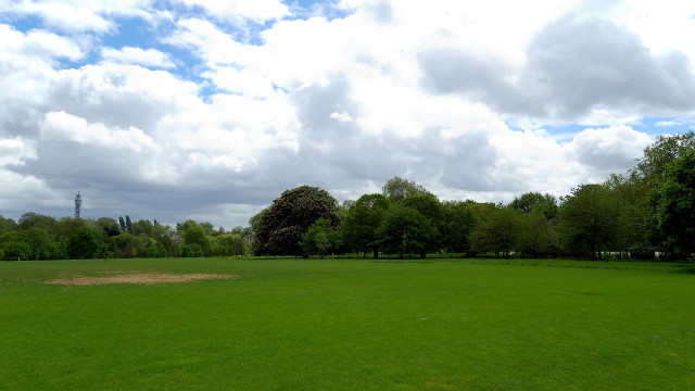 Large field trees clouds horizon free wallpaper - medium preview image
