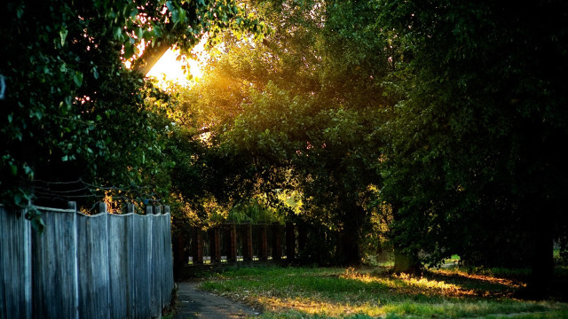 Fence dirt road park trees free wallpaper - medium preview image