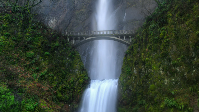 Bridge waterfall forest scenery nature free wallpaper - medium preview image