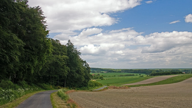 Road field trees clouds sky free wallpaper - medium preview image