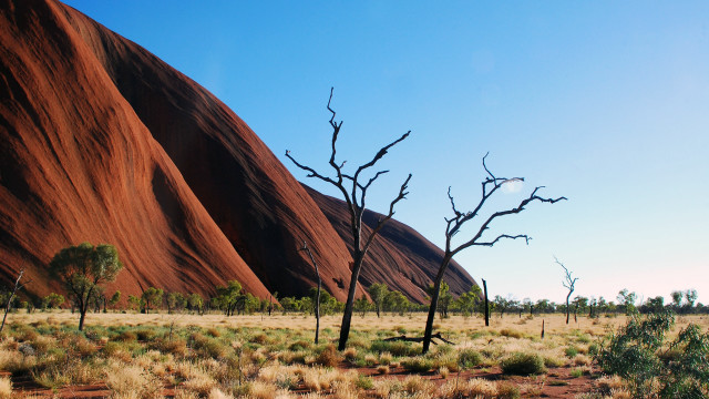 Barren tree desert rocks blue free wallpaper - medium preview image