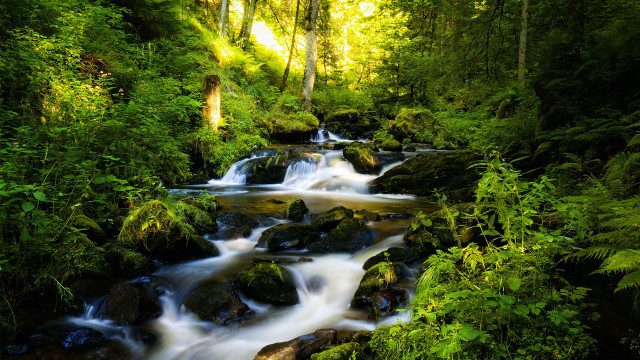 Lush green forest stream waterfall #5 free wallpaper - medium preview image