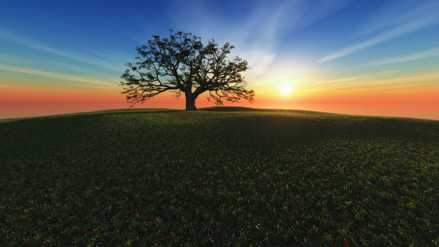 Tree hill sunset clouds mountains free wallpaper - medium preview image