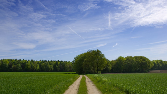 Dirt road green field trees #2 free wallpaper - medium preview image