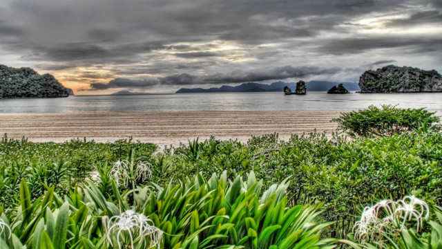 Scenic beach forest bushes water free wallpaper - medium preview image