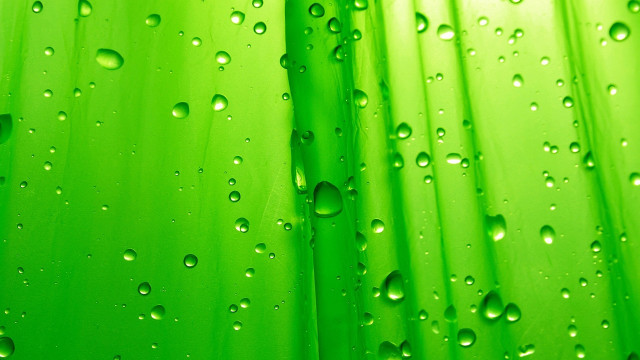 Green water drop bubble macro free wallpaper - medium preview image