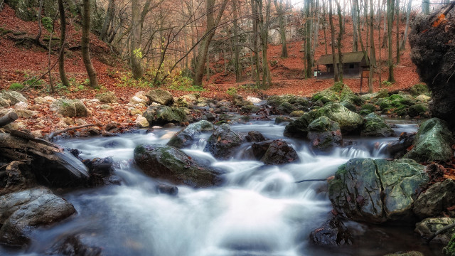 Small stream forest rocks trees free wallpaper - medium preview image