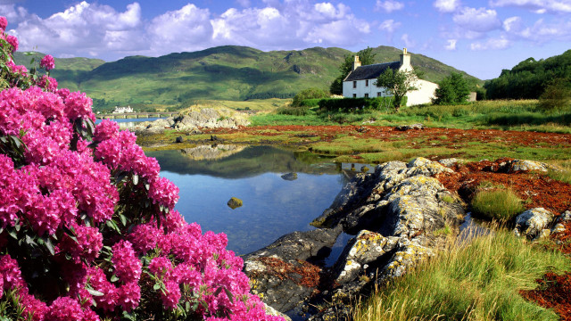 House lake flower mountain sky free wallpaper - medium preview image