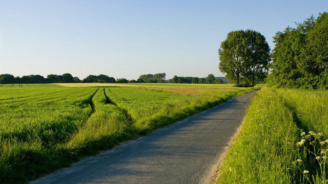 Road field trees grass mountain free wallpaper - medium preview image