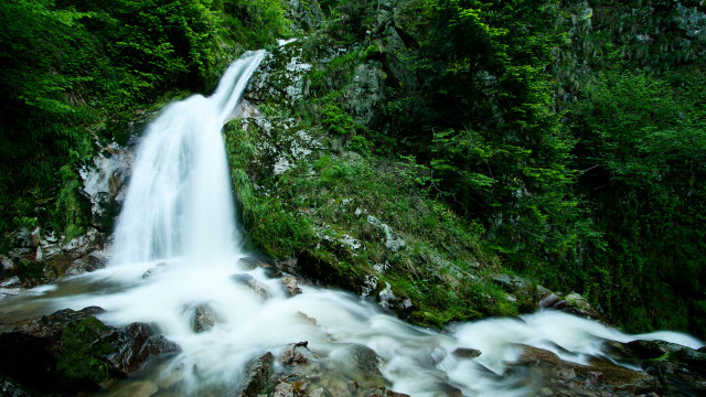 Waterfall forest stream rocks trees #2 free wallpaper - medium preview image