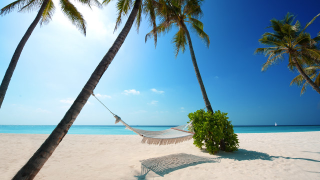 Hammock palm trees beach sailboat free wallpaper - medium preview image