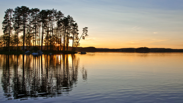 Lake bridge city sunset trees free wallpaper - medium preview image