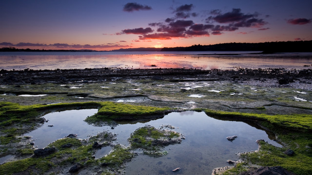 Sunset water rocks algae horizon free wallpaper - medium preview image
