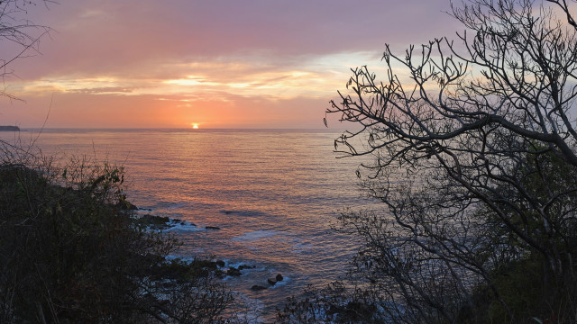 Sunset ocean tree boat mountain free wallpaper - medium preview image