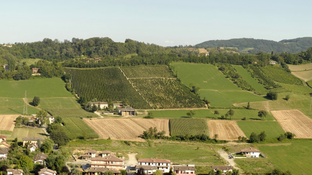 Field trees houses hill cityscape free wallpaper - medium preview image