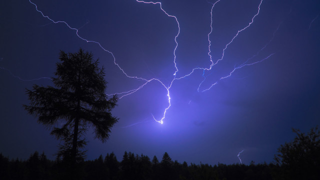 Lightning forest night tree silhouette free wallpaper - medium preview image