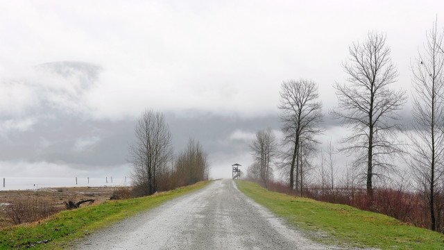 Road trees cloudy sky lighthouse free wallpaper - medium preview image