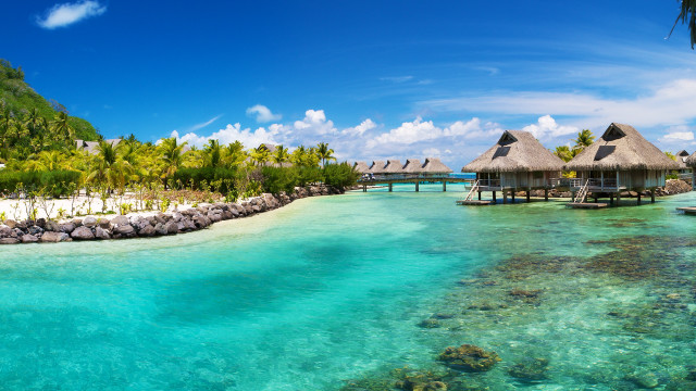 Tropical island palm trees dock free wallpaper - medium preview image