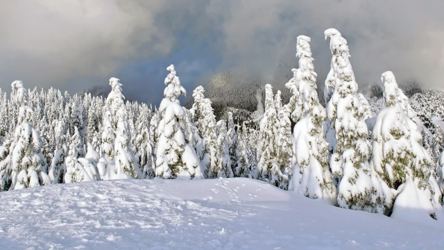 Snowy landscape trees clouds blue free wallpaper - medium preview image