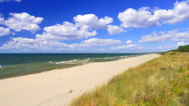 Sandy beach grassy shoreline cloudy free wallpaper - medium preview image