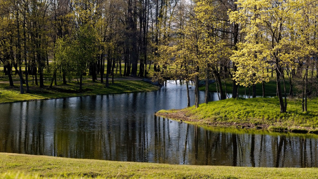 Pond trees grass park bench free wallpaper - medium preview image