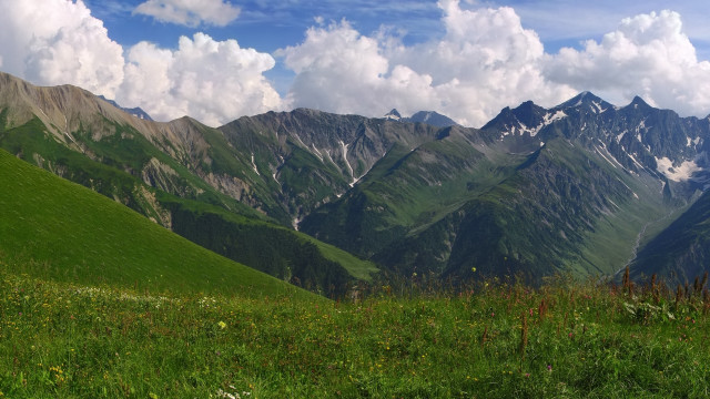 Grassy field mountains clouds flower free wallpaper - medium preview image