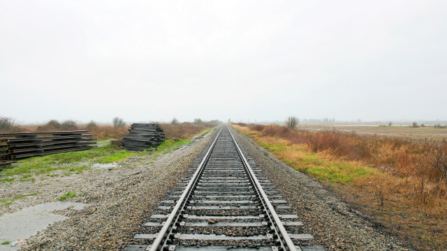 Train tracks field trees liminal free wallpaper - medium preview image